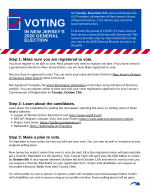Primary Voting Resource pamphlet cover