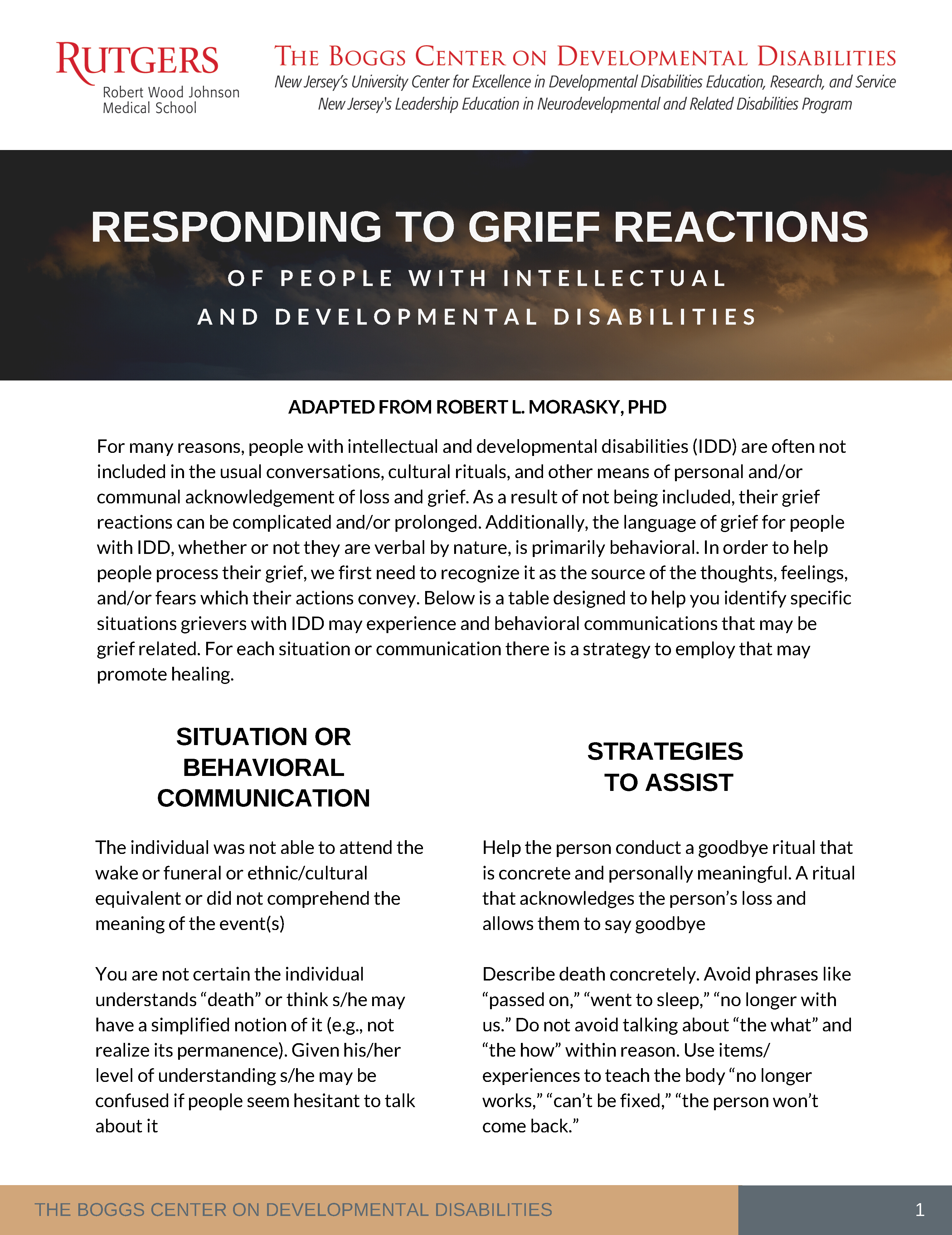 Responding to Grief Reactions IDD cover